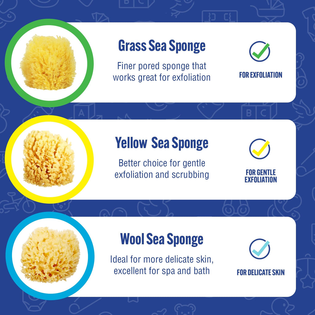 Baby Buddy Ultra-Soft Natural Sea Wool Bath Sponge 4-Pack