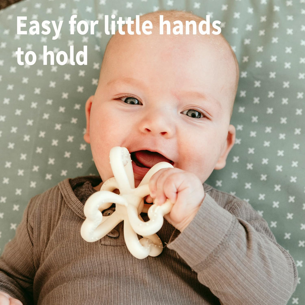 Haakaa Clover Baby Fruit Feeder & Silicone Teether Set