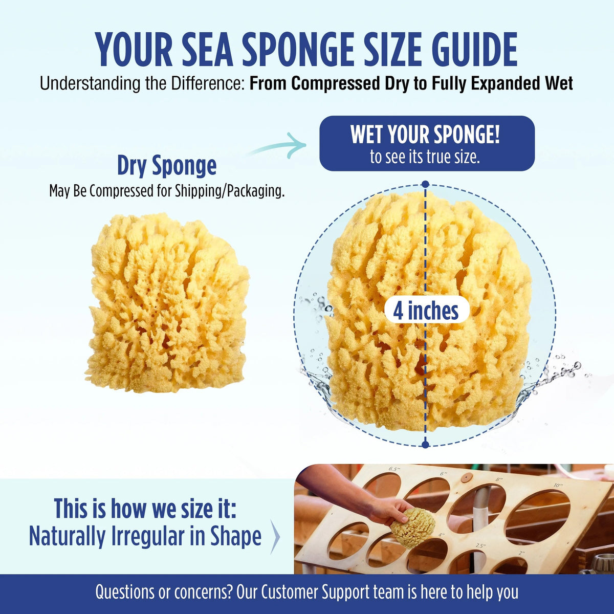 Baby Buddy Ultra-Soft Natural Sea Wool Bath Sponge 4-Pack